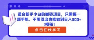 适合新手小白的搬砖项目，只需要一部手机、不用引流也能做到日入300+【揭秘】-阳知网创资源库