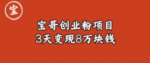 宝哥IP图文创业粉引流项目实战分享:单个账号3天涨粉1万,变现8万块钱(图文教程)【揭秘】-阳知网创资源库