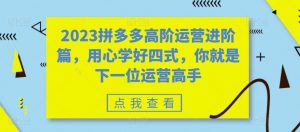 2023拼多多高阶运营进阶篇,用心学好四式,你就是下一位运营高手-阳知网创资源库