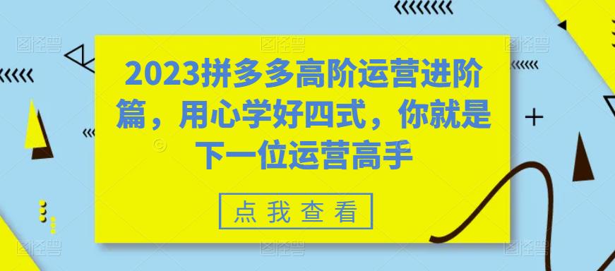 2023拼多多高阶运营进阶篇，用心学好四式，你就是下一位运营高手-阳知网创资源库