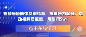 视频号矩阵带货训练营，批量暴力起号，撬动视频号流量，月利润5w+-阳知网创资源库
