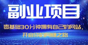 零基础30分钟拥有自己的网站，日赚1000+，开启你的网赚之路-阳知网创资源库