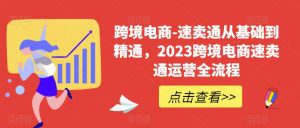 跨境电商-速卖通从基础到精通,2023跨境电商速卖通运营全流程-阳知网创资源库