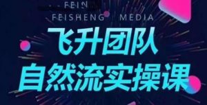 飞升团队课程自然流实操课,抖音半无人起号主播间搭建教学-阳知网创资源库