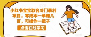 小红书宝宝取名冷门暴利项目,零成本一单赚几百,可操作一辈子-阳知网创资源库