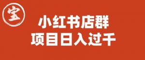 宝哥小红书店群项目,日入过千(图文教程)【揭秘】-阳知网创资源库