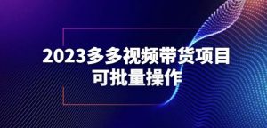2023多多视频带货项目,可批量操作【保姆级教学】【揭秘】-阳知网创资源库