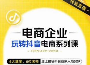 玺承·电商企业玩转抖音电商系列课,6大维度,6位老师,线上揭秘抖音商家入局SOP-阳知网创资源库