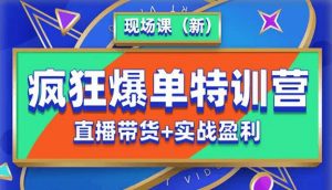 抖音短视频疯狂爆单特训营现场课(新)直播带货+实战案例-阳知网创资源库