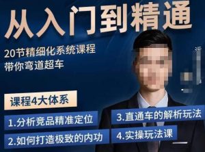 龙一·从入门到精通拼多多运营系列课,0-100的运营实操技巧,精细化系列课程带你弯道超车-阳知网创资源库