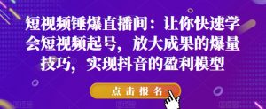 短视频锤爆直播间:让你快速学会短视频起号,放大成果的爆量技巧,实现抖音的盈利模型-阳知网创资源库