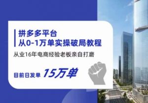 拼多多从0-1万单实操破局教程，从业16年电商经验打磨，目前日发单15万单-阳知网创资源库