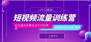 短视频流量训练营:百万操作手单月过千万的项目:抖音变现王中王能力超强-阳知网创资源库