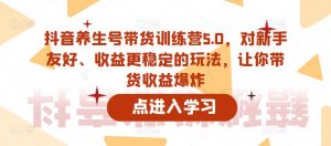 抖音养生号带货训练营5.0，对新手友好、收益更稳定的玩法，让你带货收益爆炸（更新）-阳知网创资源库