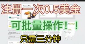 国外项目注册一次0.5美金，只需三分钟无脑操作，可批量同时放大操作，小白工作室福利【揭秘】-阳知网创资源库