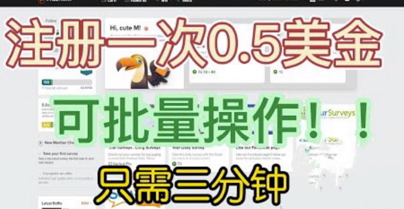 国外项目注册一次0.5美金，只需三分钟无脑操作，可批量同时放大操作，小白工作室福利【揭秘】-阳知网创资源库