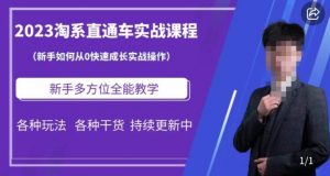 2023淘系直通车保姆式运营讲解，新手如何从0快速成长实战操作，新手多方位全能教学-阳知网创资源库
