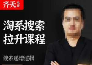 齐天电商·淘系搜索提升课程，​搜索递增标准化，动销标准化流程-阳知网创资源库