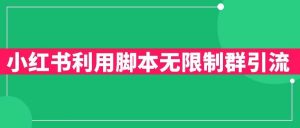 小红书利用脚本无限群引流日引创业粉300+【揭秘】-阳知网创资源库