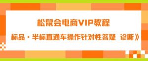 松鼠会电商VIP教程：松鼠《付费推广标品·半标直通车操作针对性答疑&诊断》-阳知网创资源库