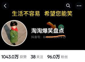 价值1000的搞笑盘点大V淘淘爆笑盘点详细课程+软件,中视频变现-阳知网创资源库