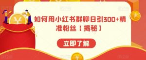 如何用小红书群聊日引300+精准粉丝【揭秘】-阳知网创资源库