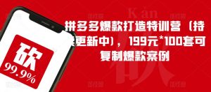 拼多多爆款打造特训营（持续更新中)，199元*100套可复制爆款案例-阳知网创资源库