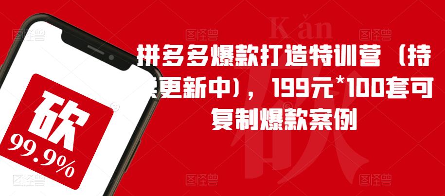 拼多多爆款打造特训营(持续更新中),199元*100套可复制爆款案例-阳知网创资源库