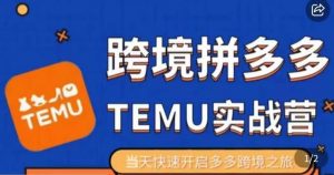 大鹏出海·拼多多跨境temu运营指导,开店注册+选品+核价上架,日出千单实战课-阳知网创资源库