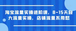 淘宝流量实操进阶课,8-15天放大流量实操,店铺流量不用愁-阳知网创资源库