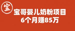 宝哥婴儿奶粉项目，6个月赚85w【图文非视频】【揭秘】-阳知网创资源库
