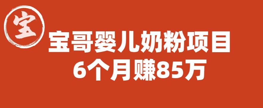 宝哥婴儿奶粉项目,6个月赚85w【图文非视频】【揭秘】-阳知网创资源库
