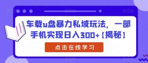 车载u盘暴力私域玩法,一部手机实现日入300+【揭秘】-阳知网创资源库