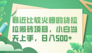 最近比较火爆的货拉拉搬砖项目，小白当天上手，日入500+【揭秘】-阳知网创资源库