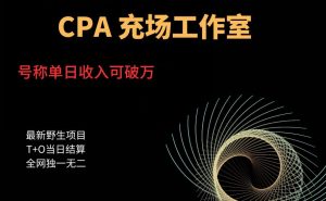 cpa充场工作室,号称单日收入10000+(揭秘)-阳知网创资源库
