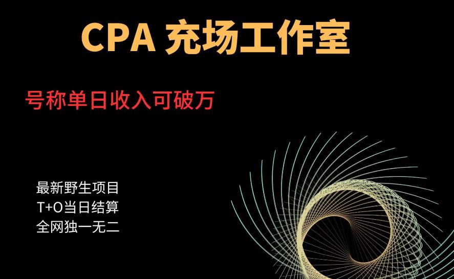 cpa充场工作室，号称单日收入10000+（揭秘）-阳知网创资源库