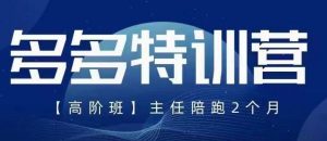 纪主任·5月最新多多特训营高阶班，玩法落地实操，多多全掌握-阳知网创资源库