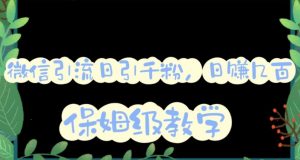微信互推圈半自动引流方案,矩阵操作日引千人思路【详细视频教程】-阳知网创资源库