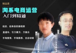2023手淘搜索实操课+体系化课程,起店起单品实操视频课程-阳知网创资源库