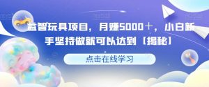 益智玩具项目,月赚5000+,小白新手坚持做就可以达到【揭秘】-阳知网创资源库