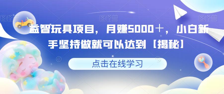 益智玩具项目，月赚5000＋，小白新手坚持做就可以达到【揭秘】-阳知网创资源库