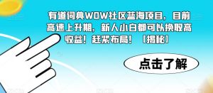 有道词典WOW社区蓝海项目,目前高速上升期,新人小白都可以换取高收益!赶紧布局!【揭秘】-阳知网创资源库