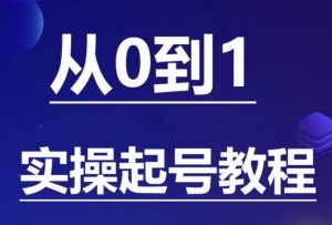 石野·小白起号实操教程,掌握各种起号的玩法技术,了解流量的核心-阳知网创资源库