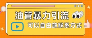 油管暴力引流,可以自由放联系方式【揭秘】-阳知网创资源库