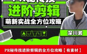 PR进阶剪辑培训班,让你快速成为剪辑大师12节视频课程+素材!-阳知网创资源库