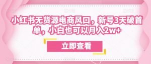 众狼电商余文小红书无货源电商风口,新号3天破首单,小白也可以月入2w+-阳知网创资源库