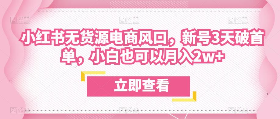 众狼电商余文小红书无货源电商风口,新号3天破首单,小白也可以月入2w+-阳知网创资源库