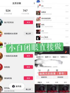 一天做完别一辈子的视频制作最近很火的《1000个野路子信息差》100%过原创【揭秘】-阳知网创资源库