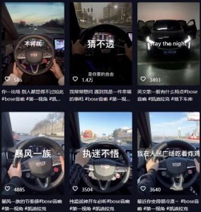 抖音开车视频项目，0基础操作，每天五分钟，月入1W+【揭秘】-阳知网创资源库