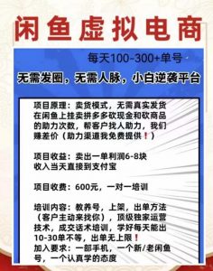 外边收费600多的闲鱼新玩法虚似电商之拼多多助力项目，单号100-300元-阳知网创资源库